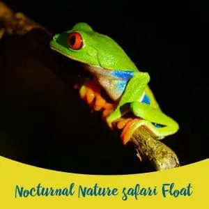 Nocturnal Nature Safari Float at WAVE
