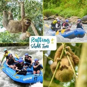 Rafting + Sloth Tour
