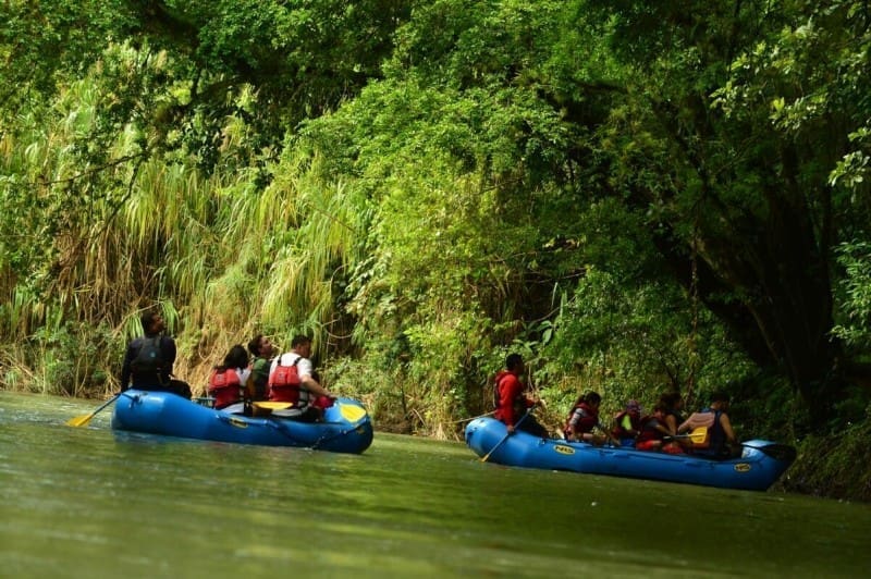 enjoy the sights and sounds of costa rica wildlife with this safari float down the penas blancas river