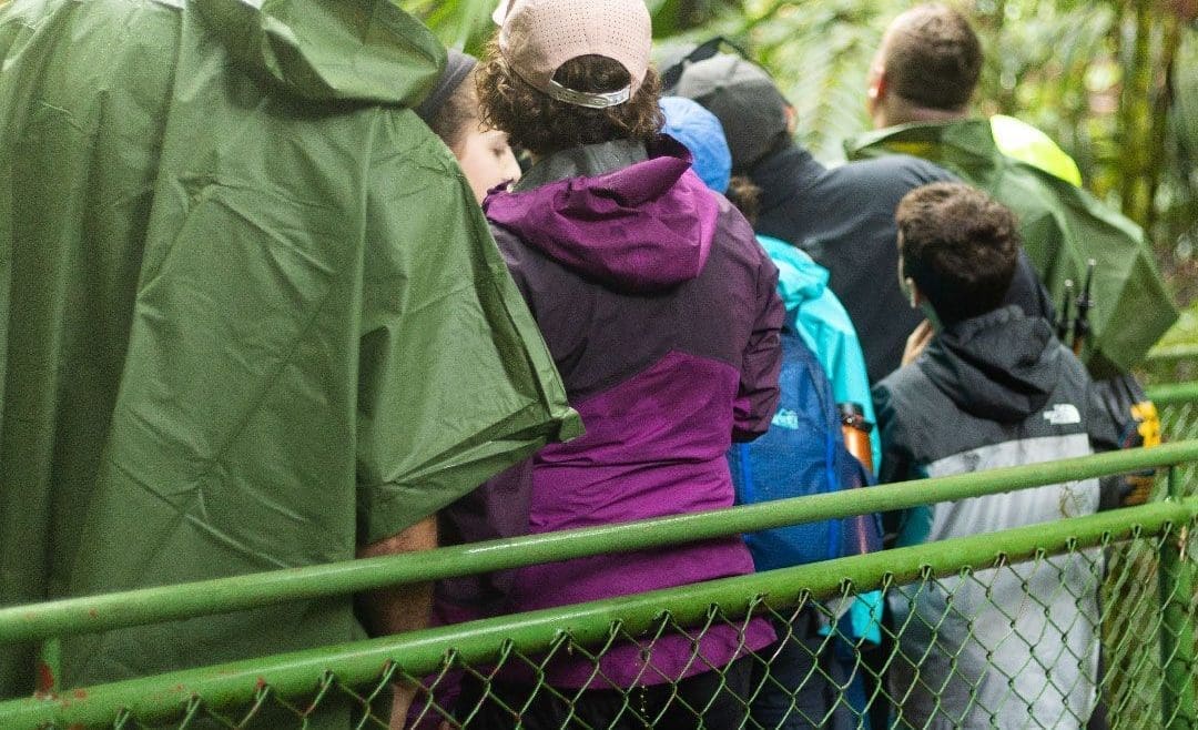 Discovering the Wonders of Nature: Mistico Arenal Hanging Bridges in La Fortuna