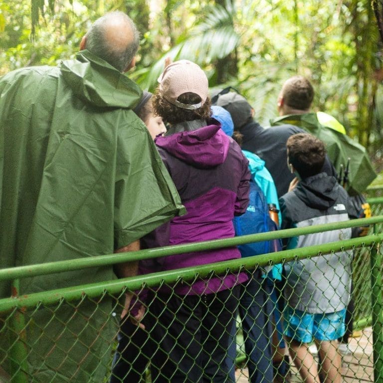 mistico-hanging-bridges