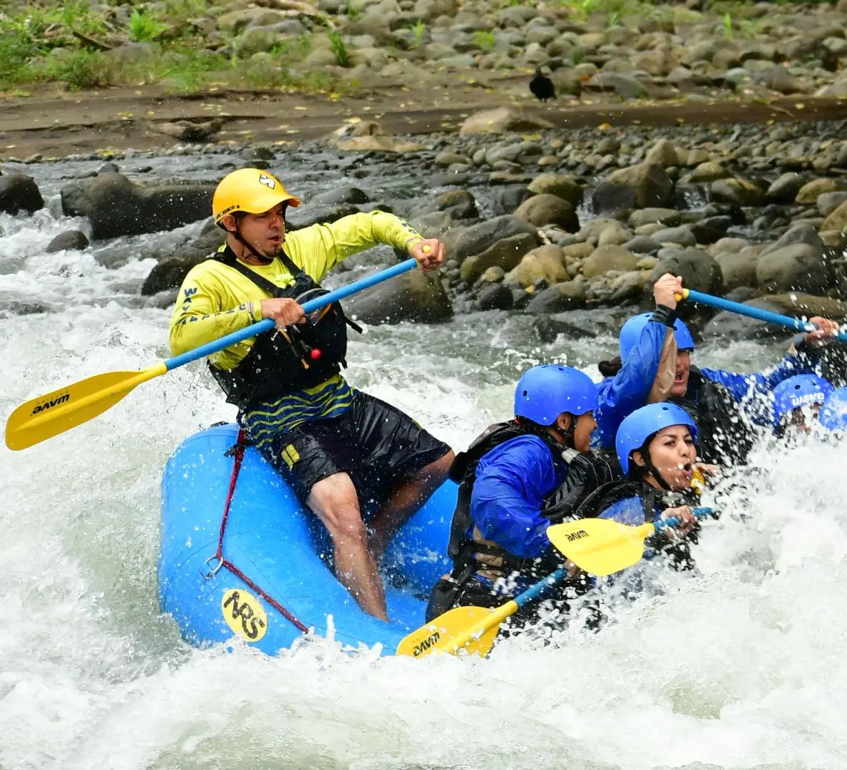 Rafting guide leading Wave team through whitewater rapids in Costa Rica